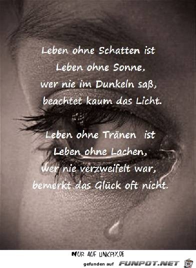 leben ohne schatten 