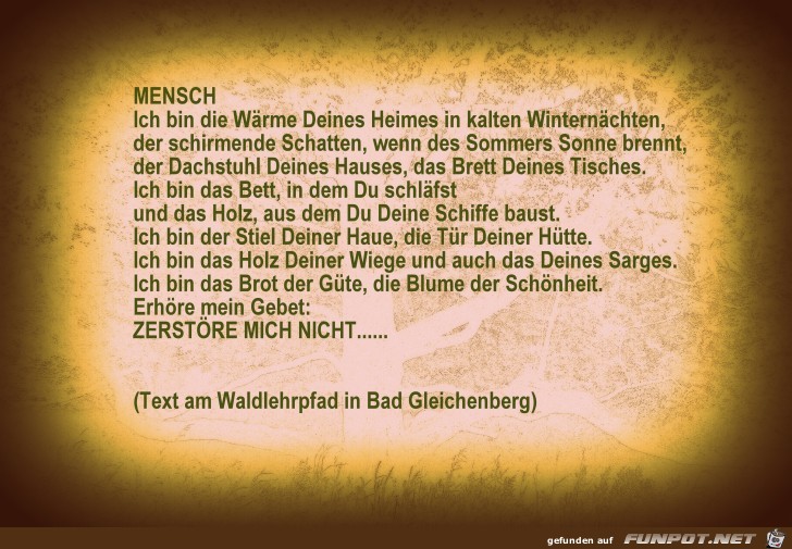 Mensch Mensch