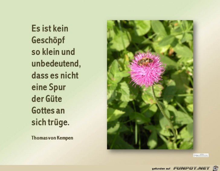 Es ist kein Geschoepf Es ist kein Geschoepf