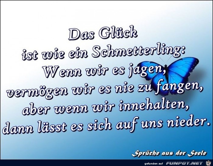 Schmetterlinge Schmetterlinge