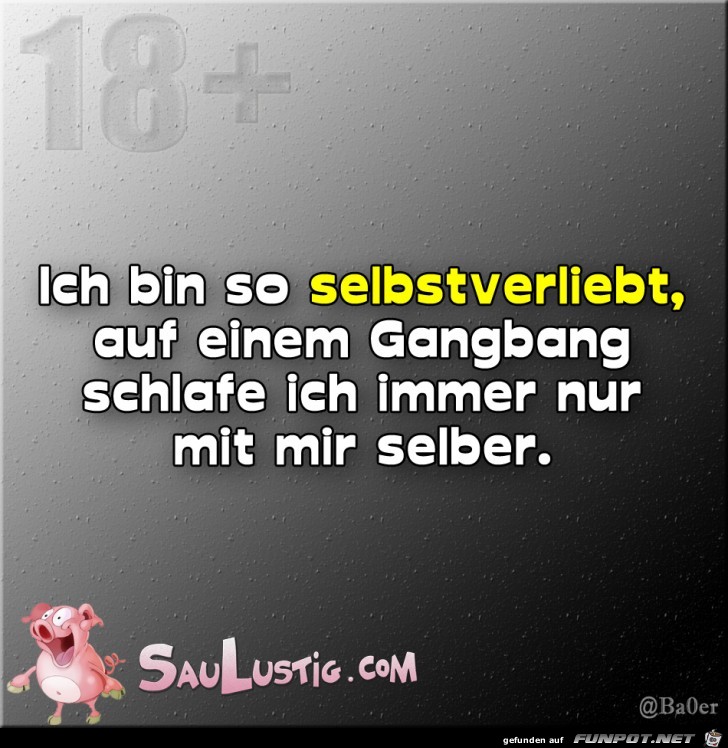 Ich-bin-so-selbstverliebt Ich-bin-so-selbstverliebt
