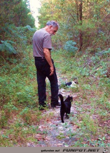 Mann baut Zufluchtsort fr Obdachlose Katzen