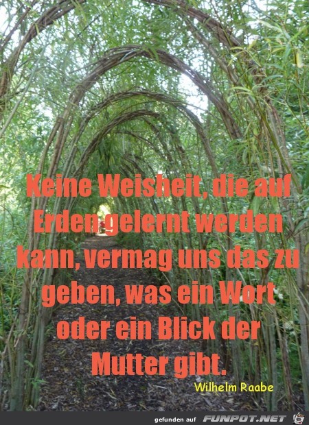 spruch-keine-weisheit