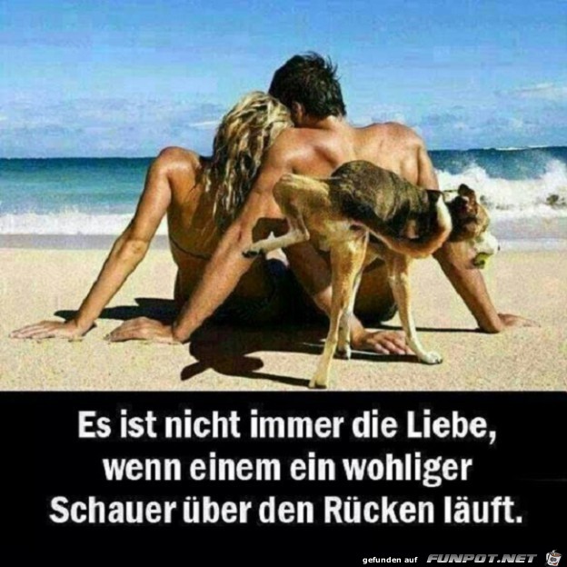 liebe fhlt sich umwerfend an liebe fhlt sich umwerfend an