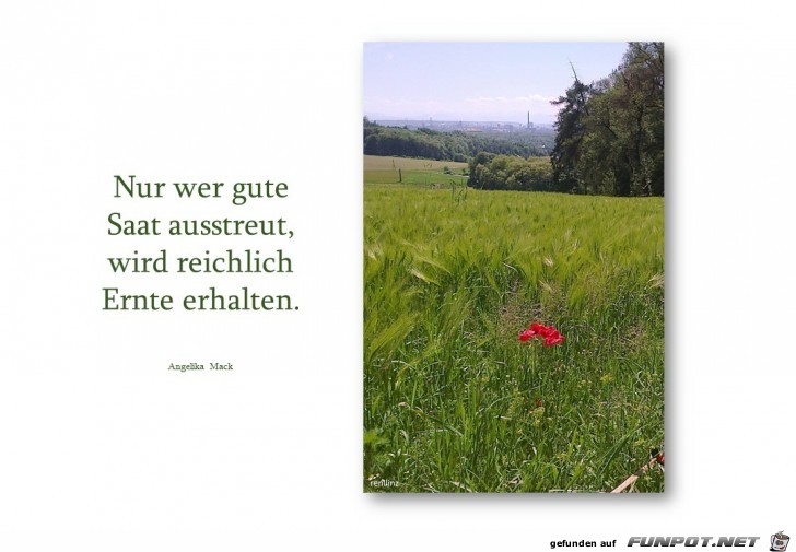 nur wer gute saat nur wer gute saat