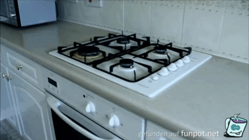 gif Dronen in der Küche gif Dronen in der Küche