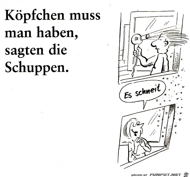 164 Koepfchen 164 Koepfchen