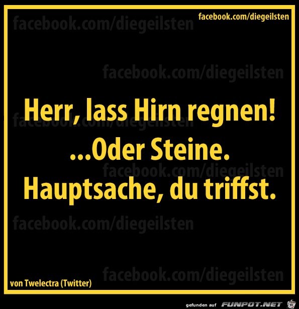 diegeilsten regnen diegeilsten regnen
