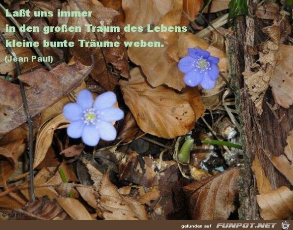 traum des Lebens