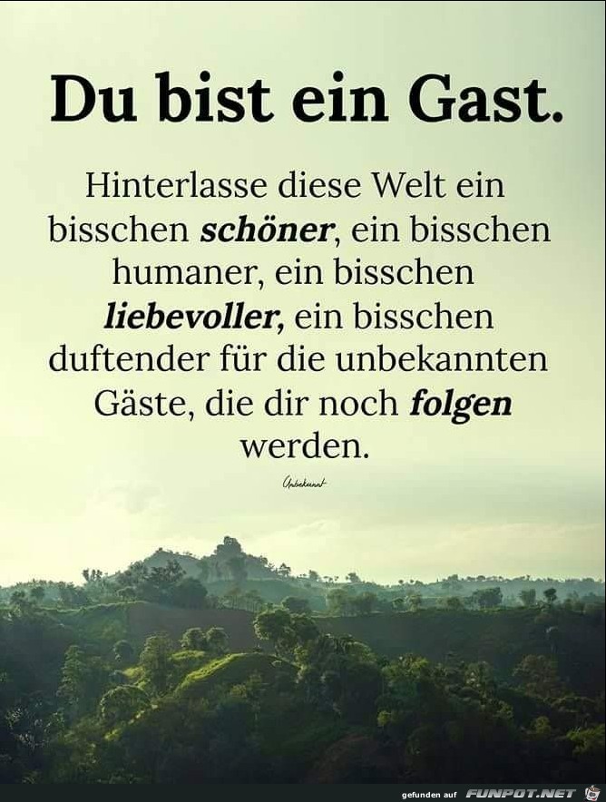 du bist ein gast