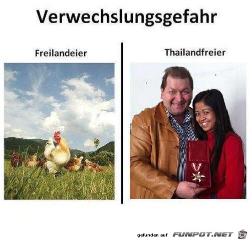 Verwechslungsgefahr Eier Verwechslungsgefahr Eier