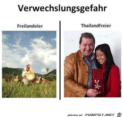 Verwechslungsgefahr Eier