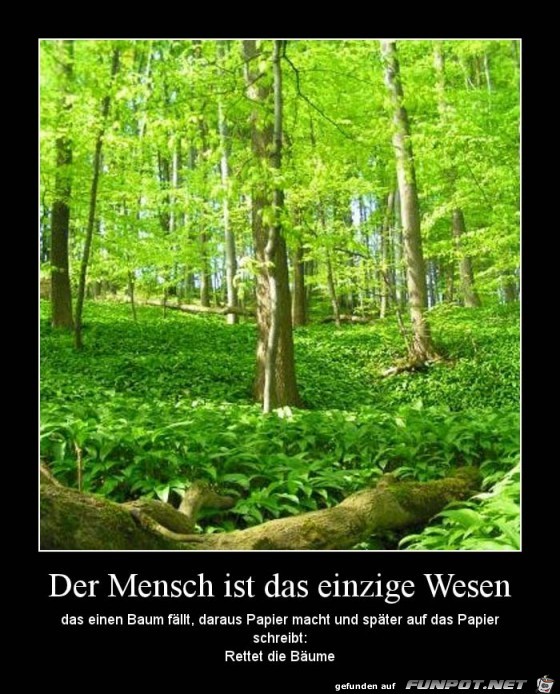 Der Mensch Der Mensch