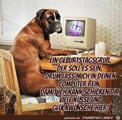 Geburtstagsgruss Geburtstagsgruss