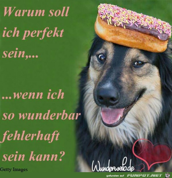 perfekt perfekt