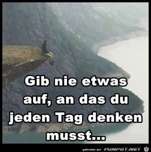 Gib nie etwas auf