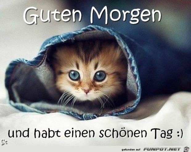 guten morgen dd