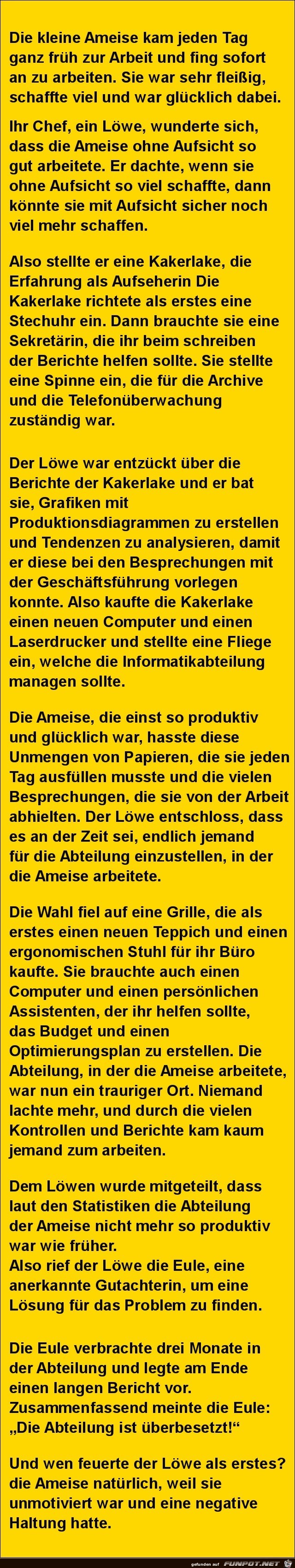 die kleine Ameise die kleine Ameise