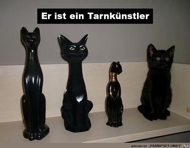 Tarnkuenstler Tarnkuenstler