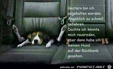 Zu schnell gefahren Zu schnell gefahren