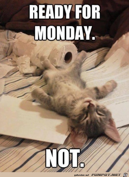 Montag Montag