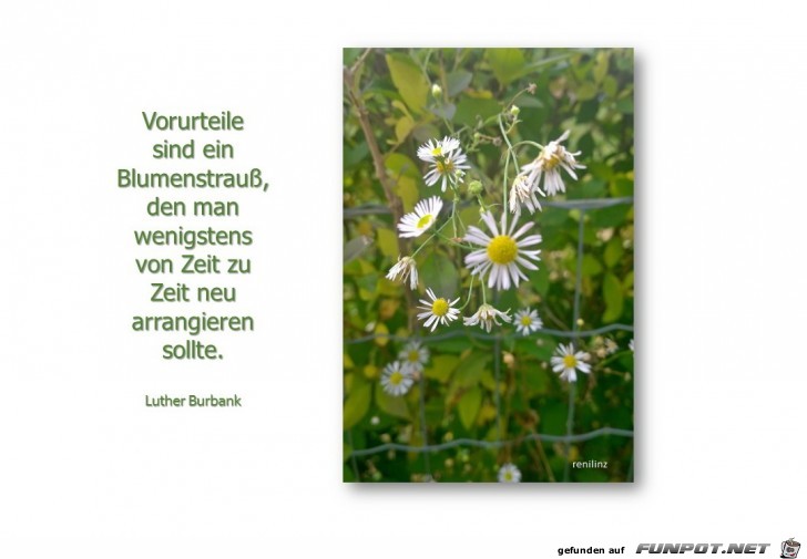 Vorurteile sind Vorurteile sind