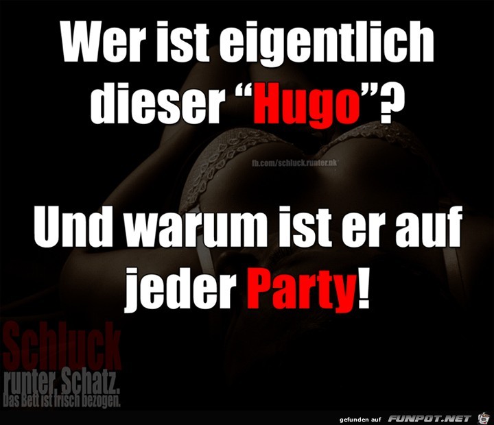 Wer ist Hugo Wer ist Hugo