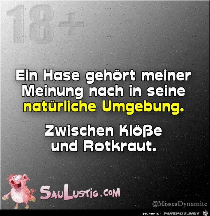 Ein-Hase-gehoert-in-seine-Umgebung Ein-Hase-gehoert-in-seine-Umgebung