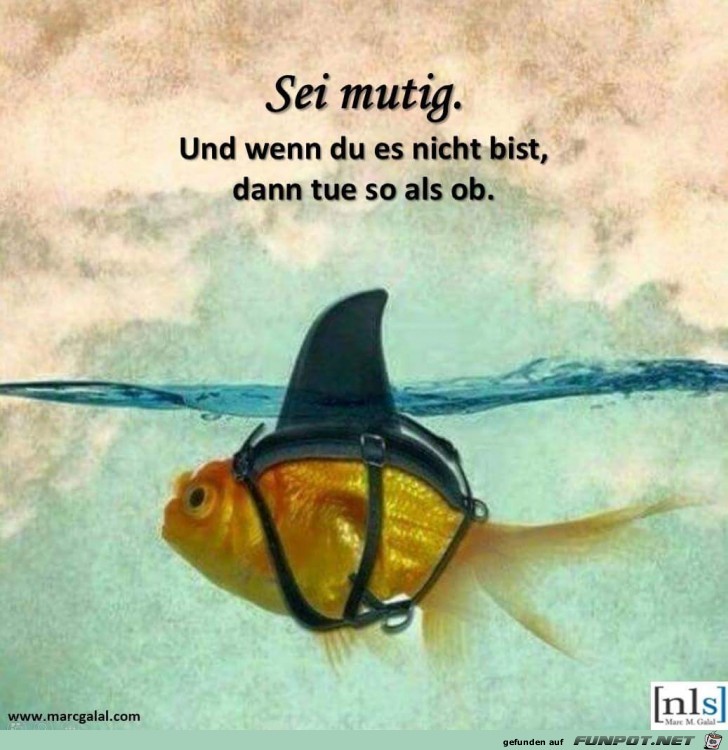 Sei mutig Sei mutig
