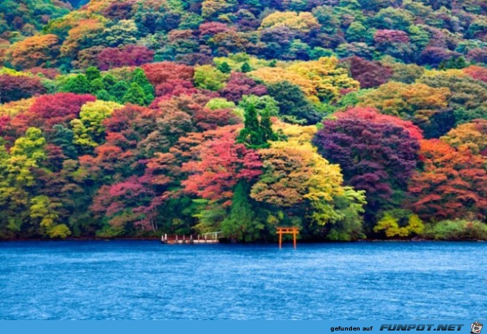 Tolle Orte die du im Herbst besuchen kannst 16