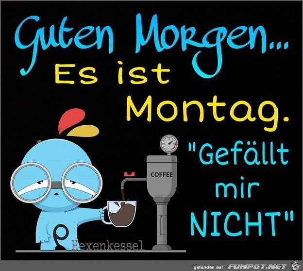 Guten Morgen