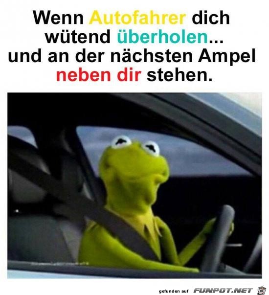 Autofahrer