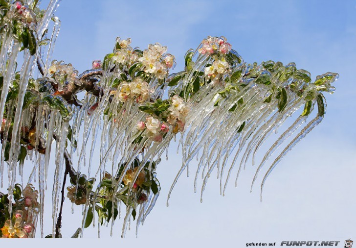 Gigantische Schnee- und Eis-Formationen 13