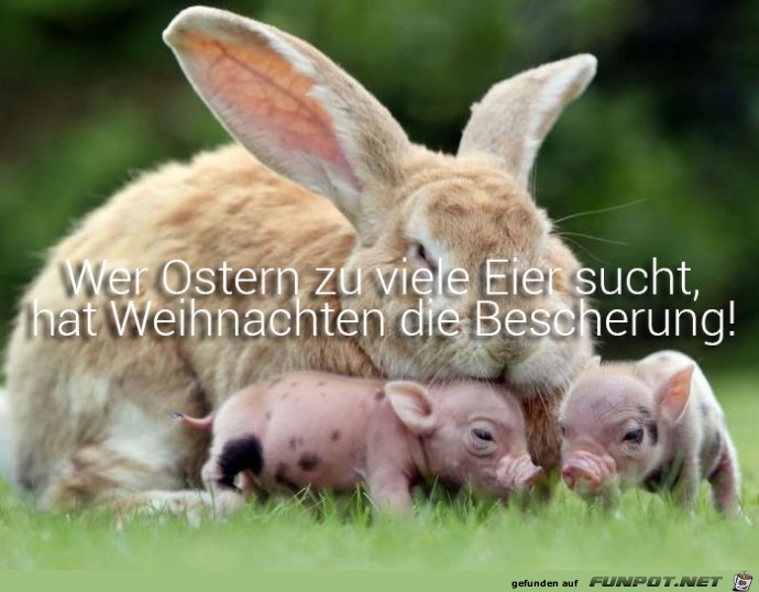 Wer zu Ostern