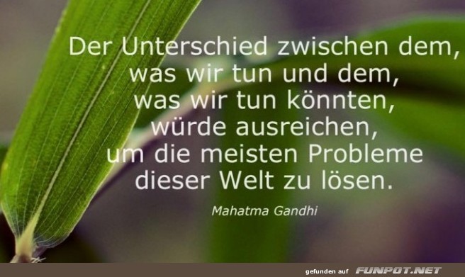 10 sch�ne Spr�che und Lebensweisheiten aus...