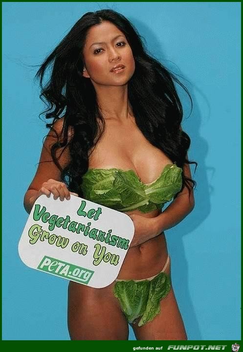 Vegetarier Vegetarier