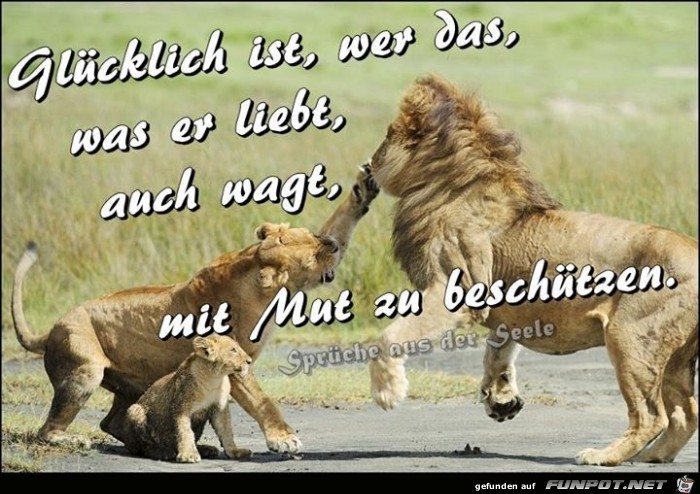 10 schne Sprche und Lebensweisheiten aus...