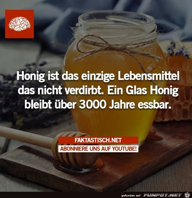 Honig Honig