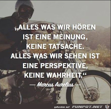 Alles was wir hren...