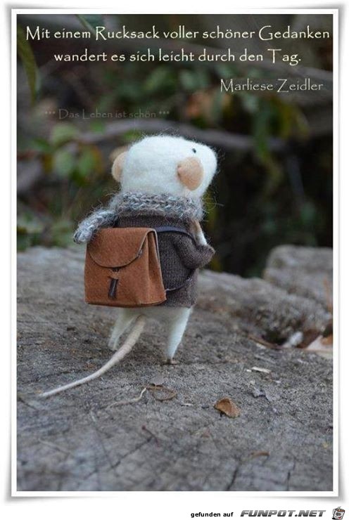 Rucksack Rucksack