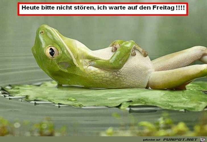 Motto des Tages Motto des Tages