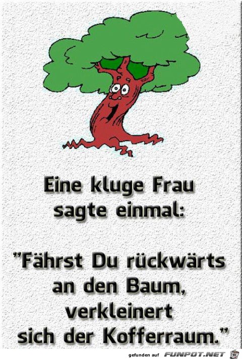 eine kluge Frau