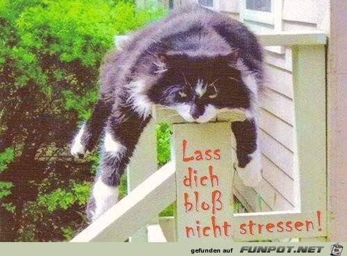 Nicht stressen Nicht stressen