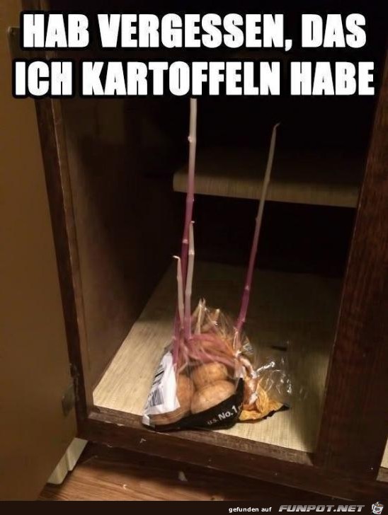 Kartoffeln