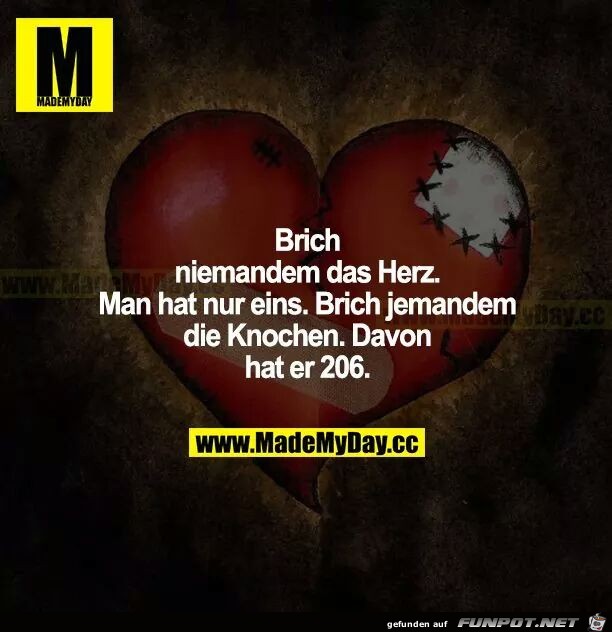 Knochen Knochen