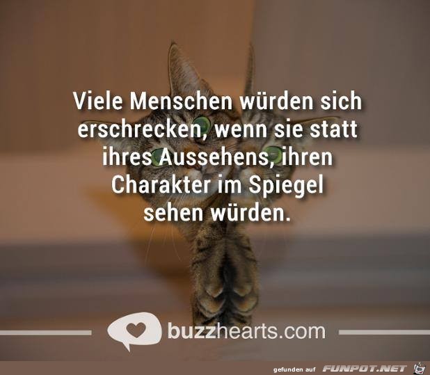 sehen sehen