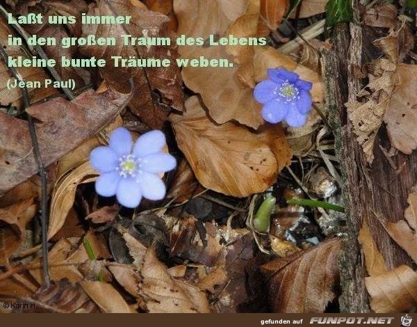 Traum des Lebens