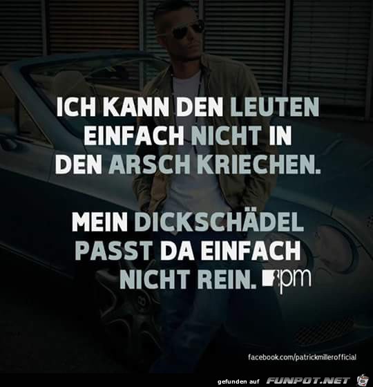 Dickschaedl Dickschaedl