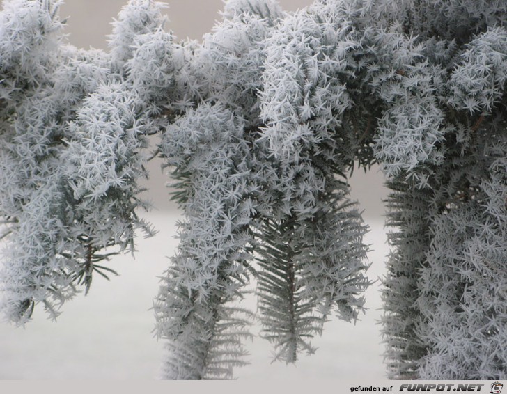 Gigantische Schnee- und Eis-Formationen 25 Gigantische Schnee- und Eis-Formationen 25