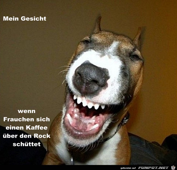 mein mein